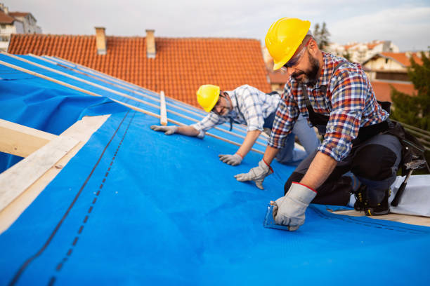 Best Flat Roof Repair Services  in Manchester, TN
